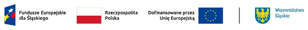 Fundusze Europejskie dla Śląskiego | Dofinansowane przez Unię Europejską